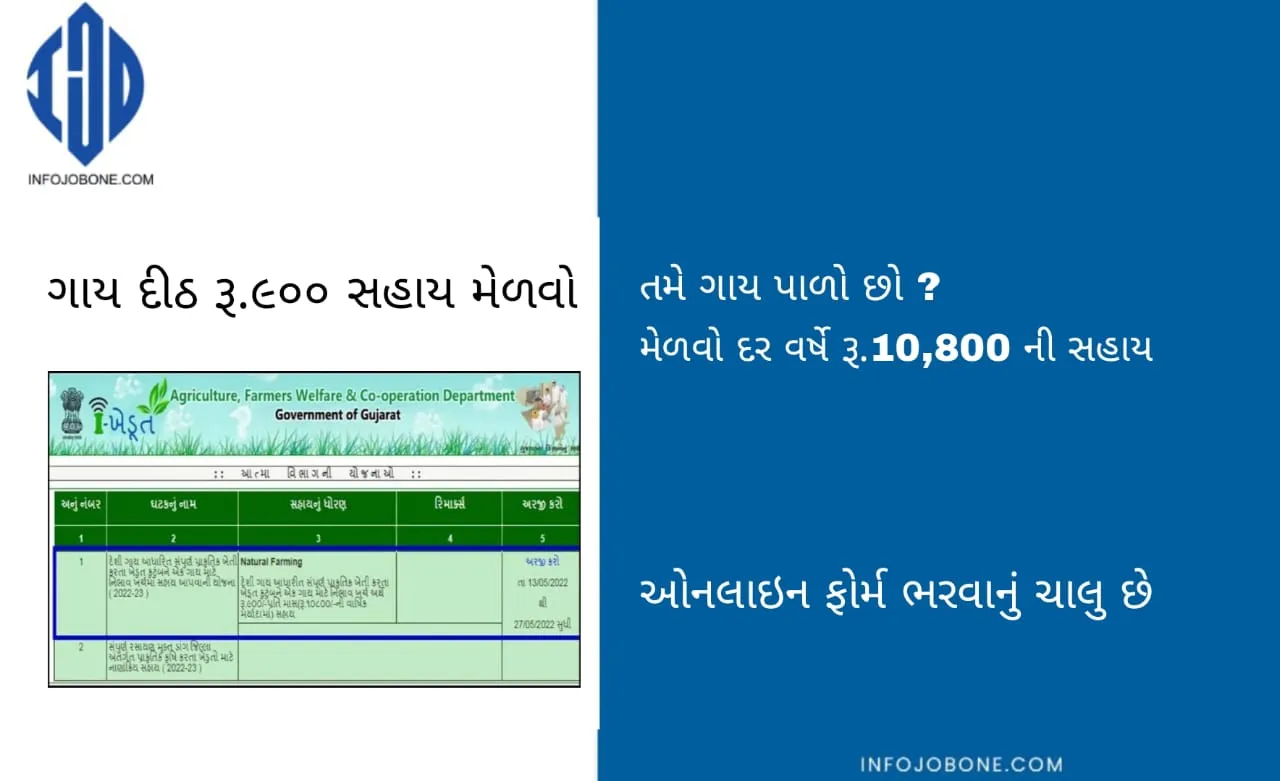 Ikhedut Portal Gujarat: Cow Sahay Per Month RS 900