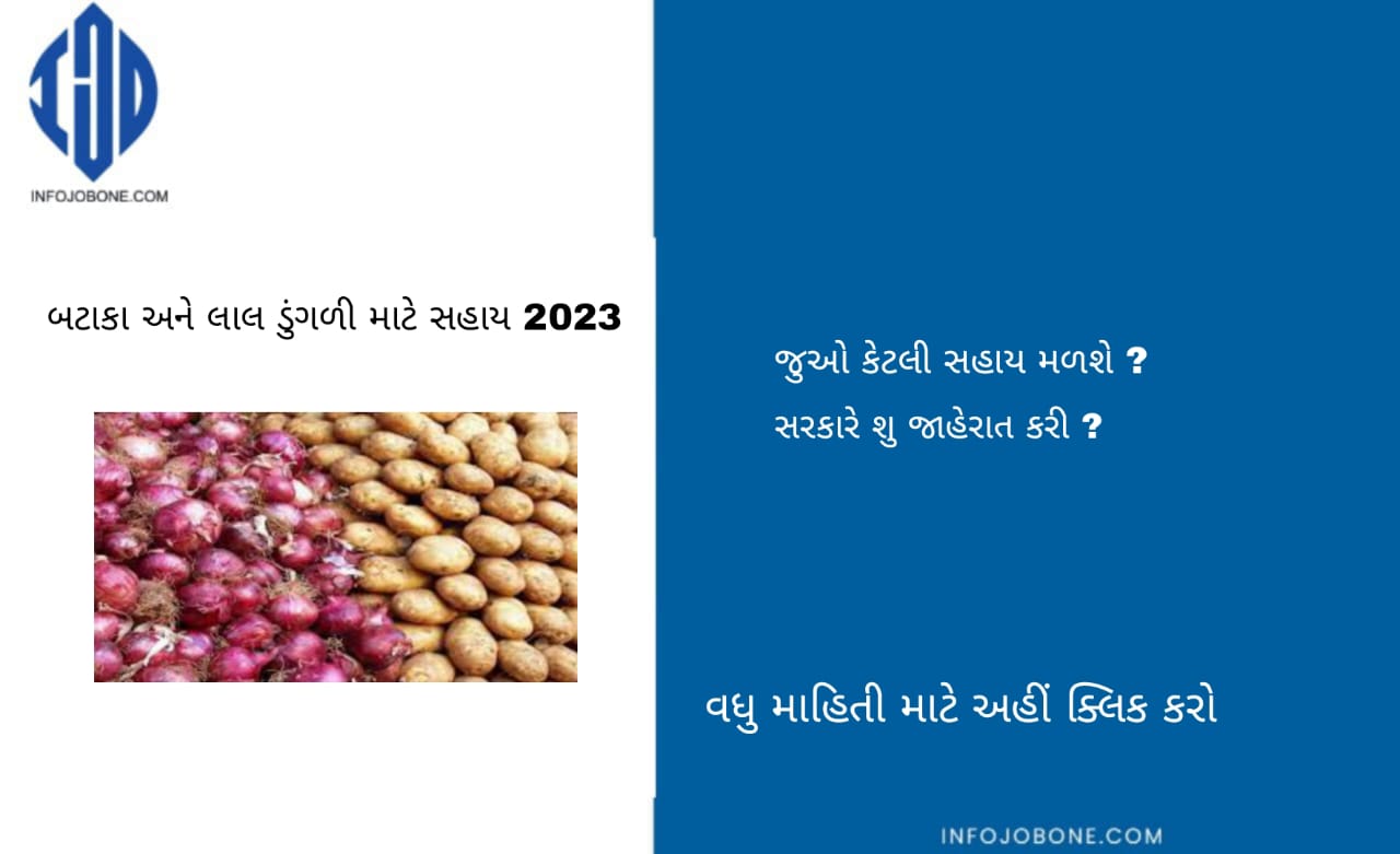 Assistance for Potato and Red Onion 2023